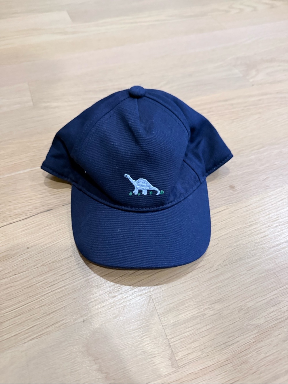 Janie and Jack Navy Baby Baseball Cap with Small Light Blue Dino Size 12-18m NWT